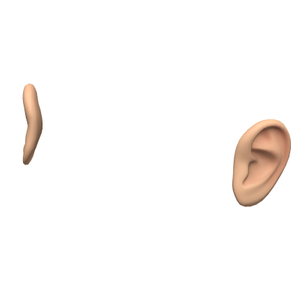 Ears
