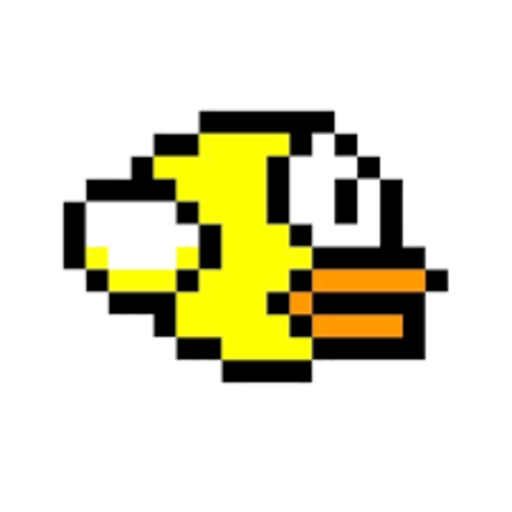 CHAOS BIRD