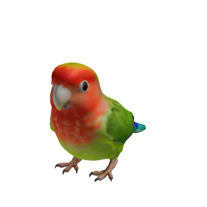 Lovebird Parrot Suit