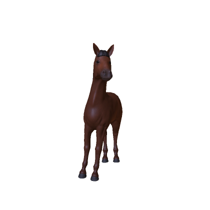 The Horse
