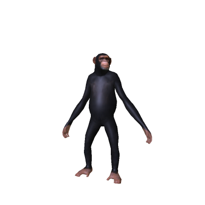 Epic Monkey
