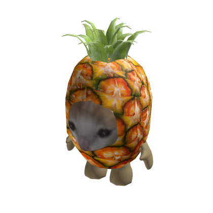 Pineapple Cat Suit