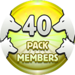 40 Members