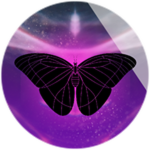 Social Butterfly