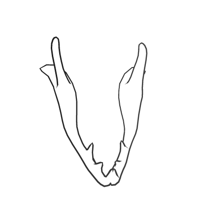 Gaster Blaster Jaw
