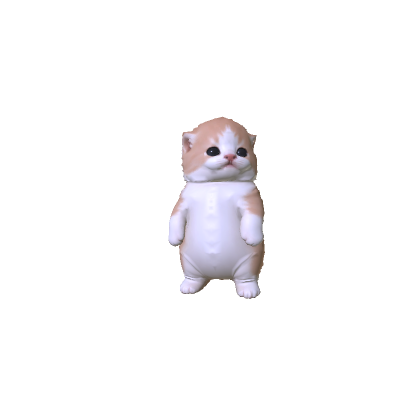 Little Kitten