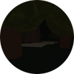Lost in the Woods