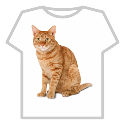 Lovely Cat