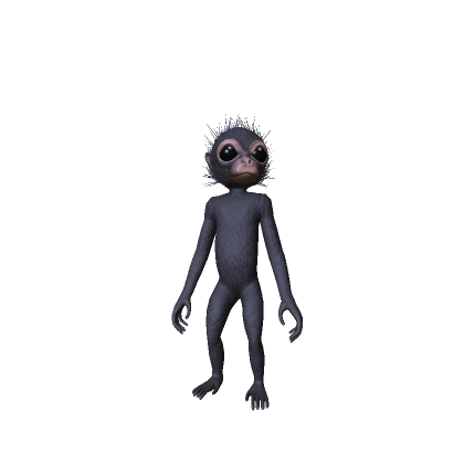 Baby Monkey