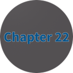 Chapter 22