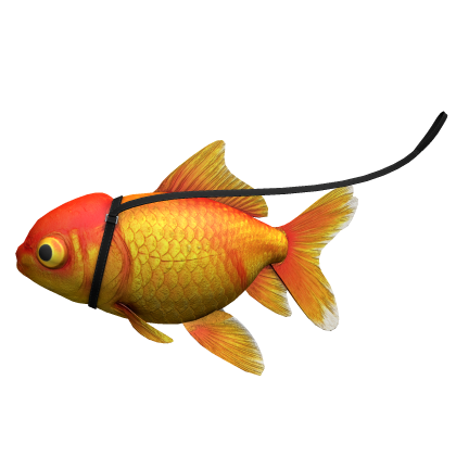 Goldfish on a leash