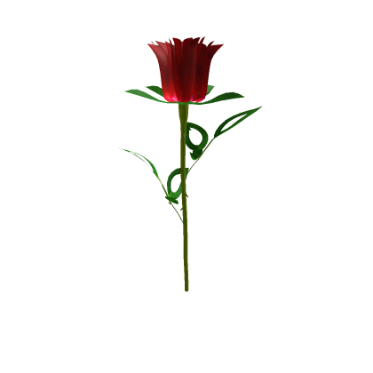 Meshes/rose