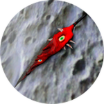 Secret 11