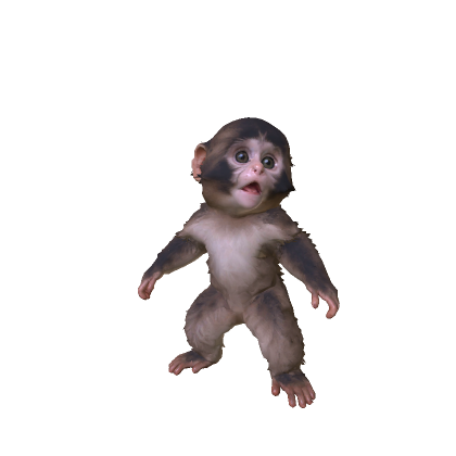 PUNCH MONKEY