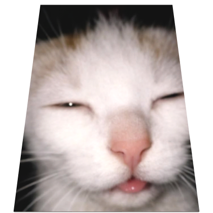 Sleepy Cat Meme Cape
