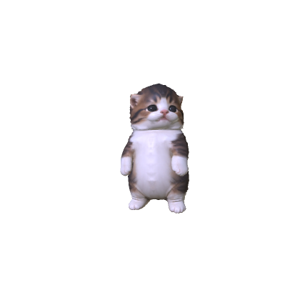 Little Kitten