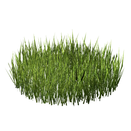 Realistic Grass Chill Meetup Cafe RP