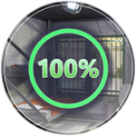 100% Completion (Prison)