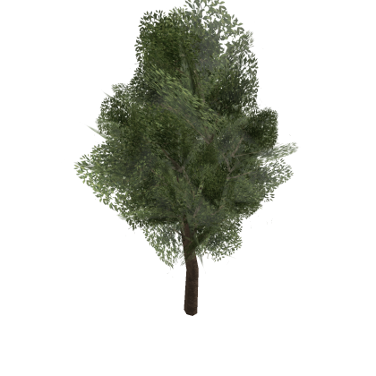 Small Tree