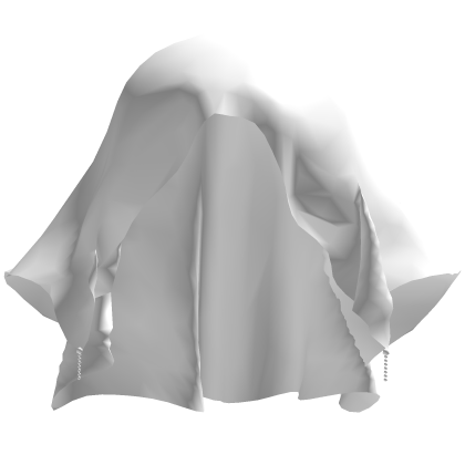 White Transparent Veil
