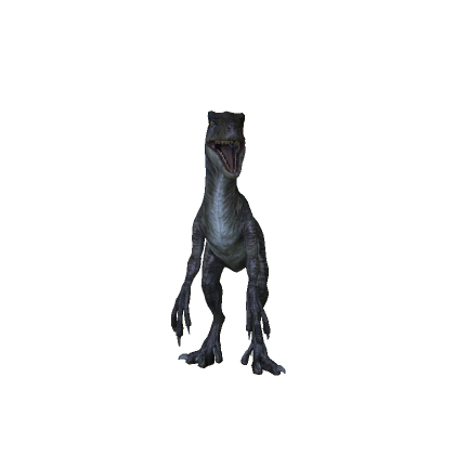 Velociraptor Dinosaur Bundle