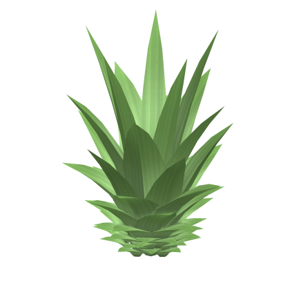Pineapple Hair