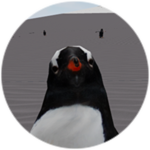 Smile and Wave