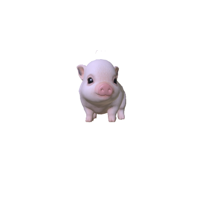 Mini Pig