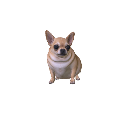 Mini Fat Chihuahua
