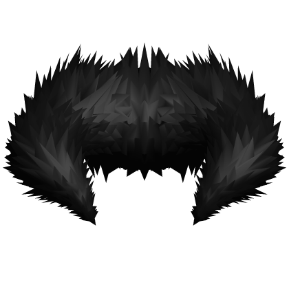Black Fur Collar