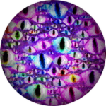 Eye for an Eye