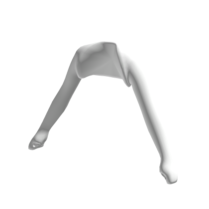 White Long Sleeves