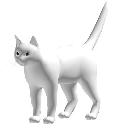 ✅ Cat 