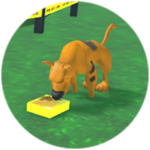 Killed by Scoob