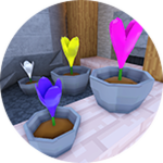 Crocus Enthusiast