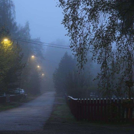❄