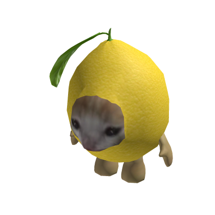 Lemon Cat Suit