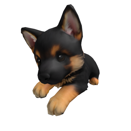German Shepard Dog Right Shoulder