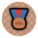 Bronze Medal