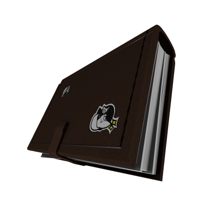 Normal Brown Book or Sketchbook