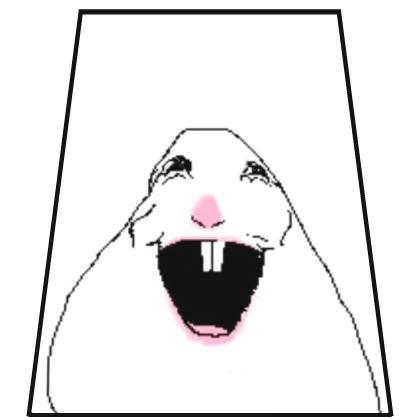 Funny Hamster Meme Cape