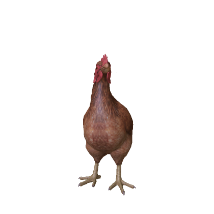Brown Chicken