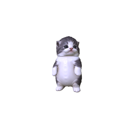 Little Kitten