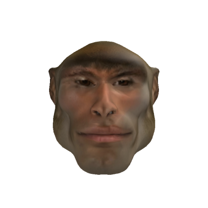 Mogger Monkey
