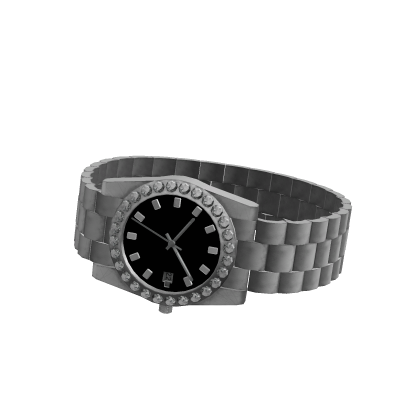 Silver & Black Watch