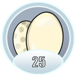 25 Eggs
