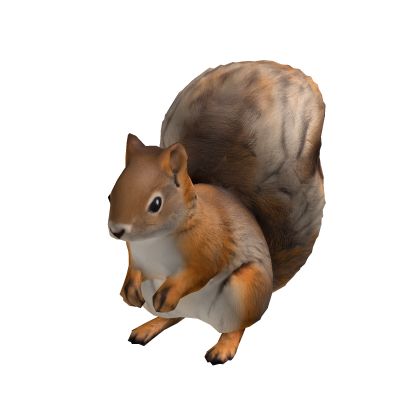 Squirrel Suit