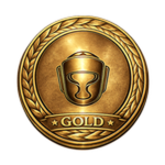 MMA Fighters - Gold Division Participant