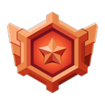 Bronze 4