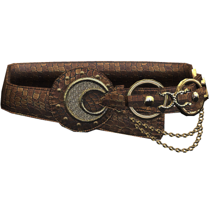 Brown Leather Belt Gold Rhinestone Chain Y2K 2000s